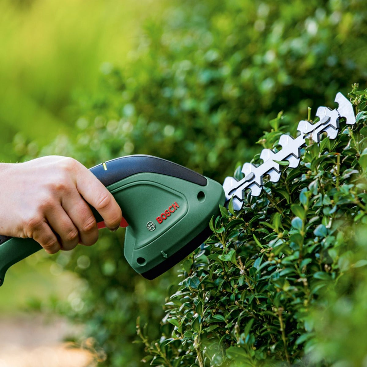 Bosch - EasyShear - Cordless Shrub Shear Set - Dark Green