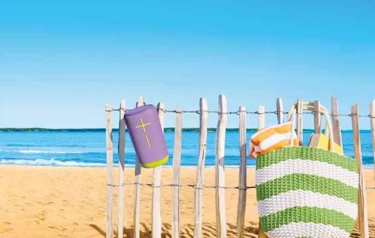 UE - Ultimate Ears EverBoom - Lilac Lime