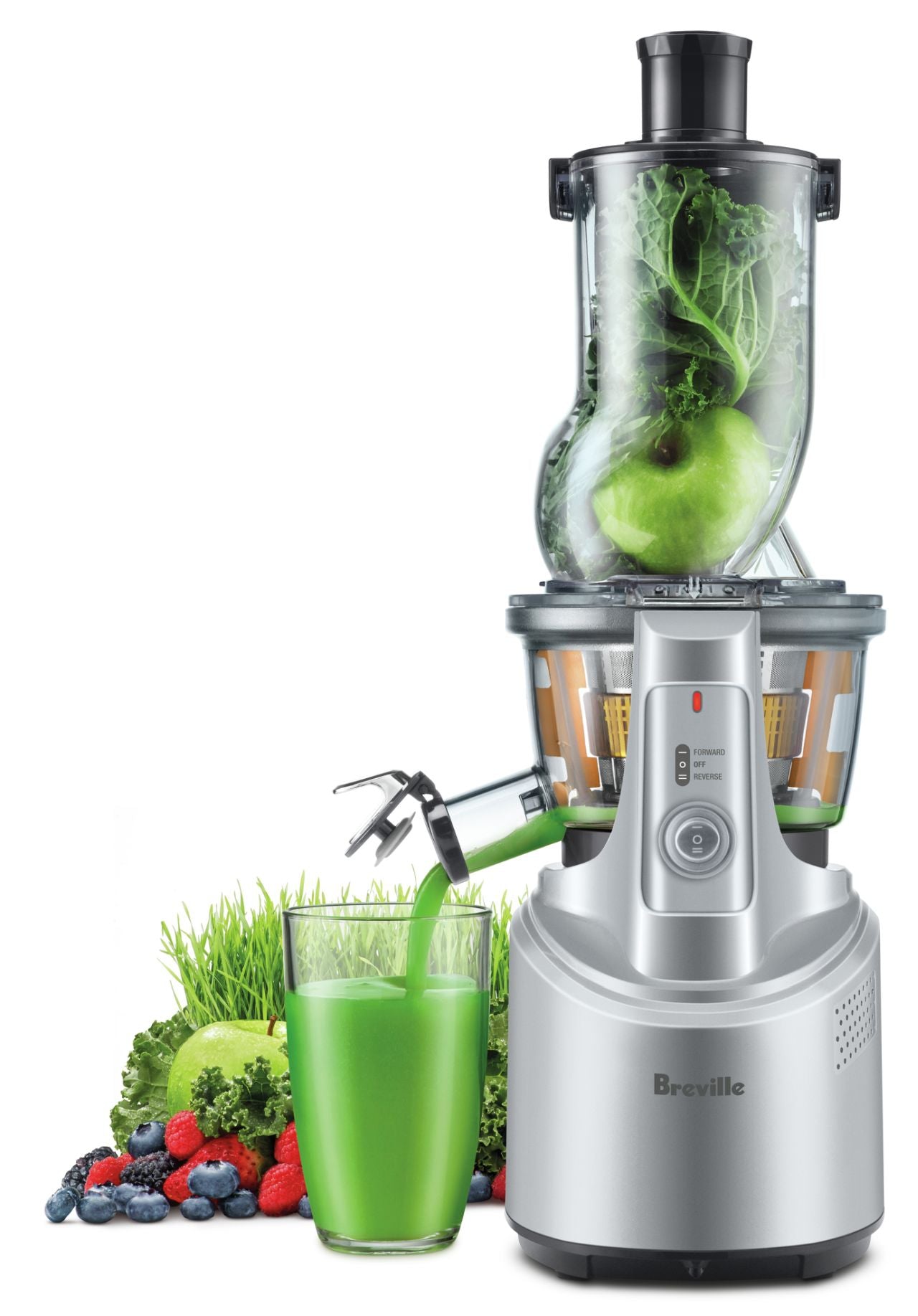 Breville - the Big Squeeze Slow Compression Juicer in Silver - Wholesales Supply