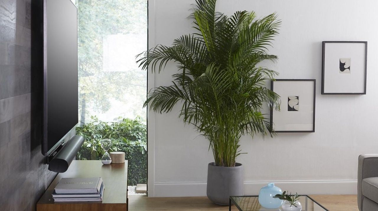 Sanus Arc Wall Mount Bracket Black (for soundbar) - extendable - Wholesales Supply