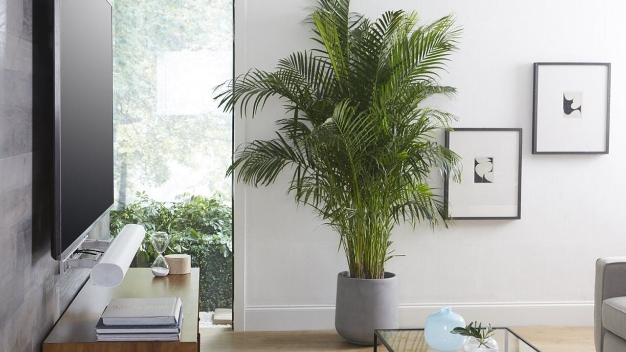 Sanus Arc Wall Mount Bracket White (for soundbar) - extendable - Wholesales Supply