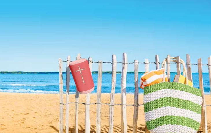 UE - Ultimate Ears EverBoom - Raspberry - Wholesales Supply