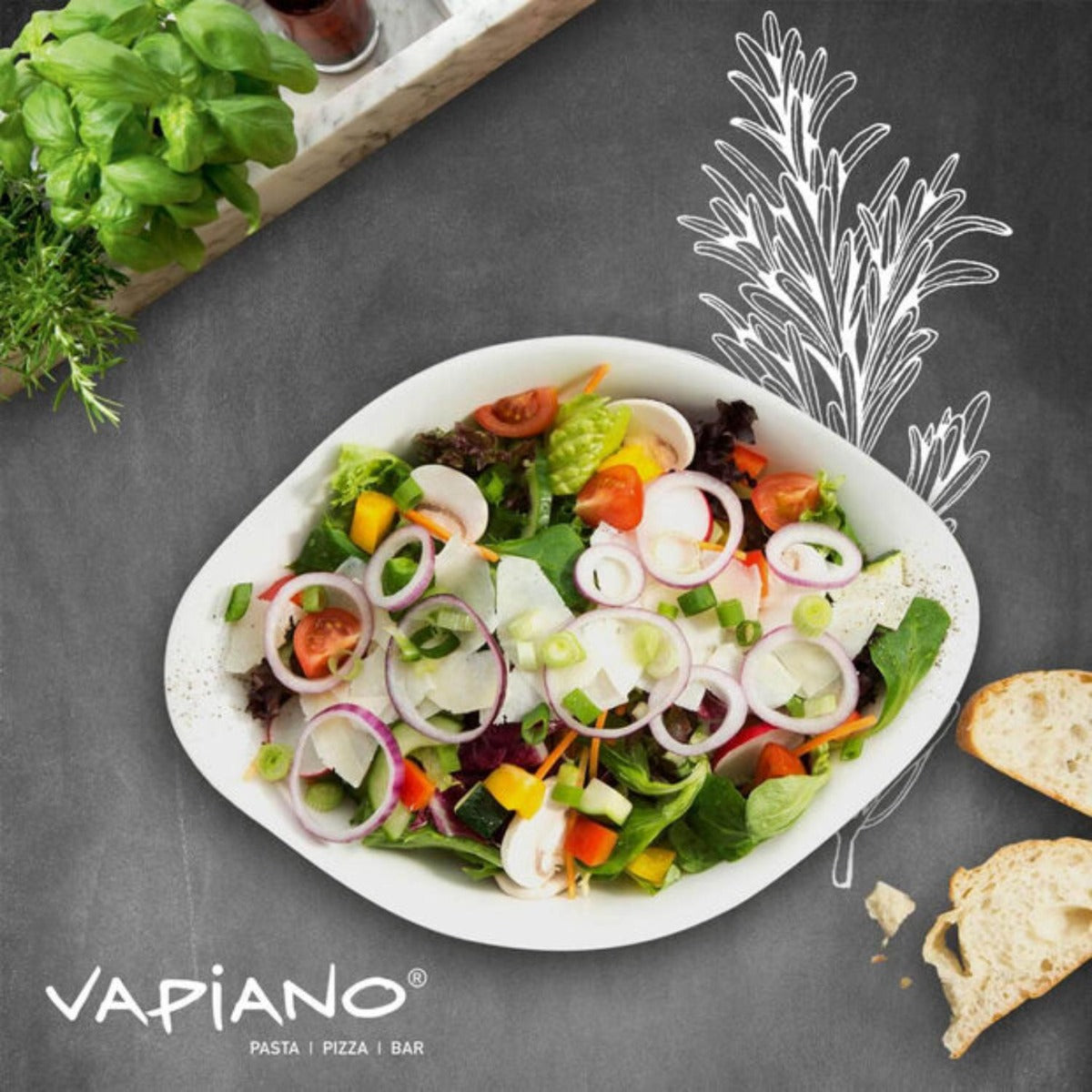Villeroy & Boch - Vapiano Salad Bowl 2 piece set - Wholesales Supply
