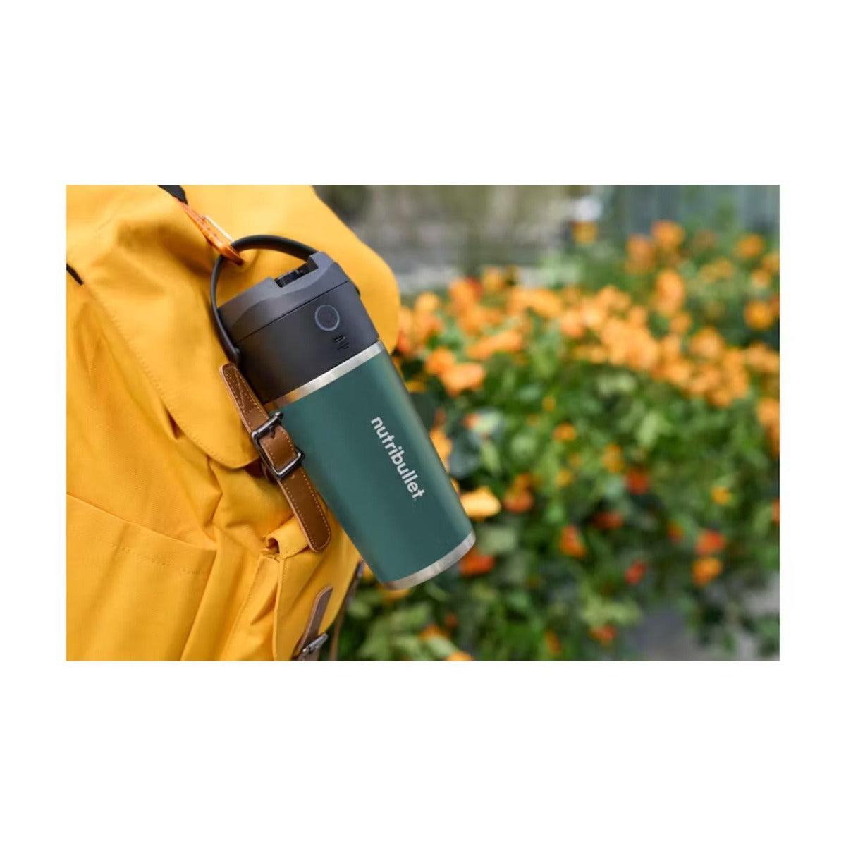 Nutribullet - Flip Blender - Stainless Eucalyptus