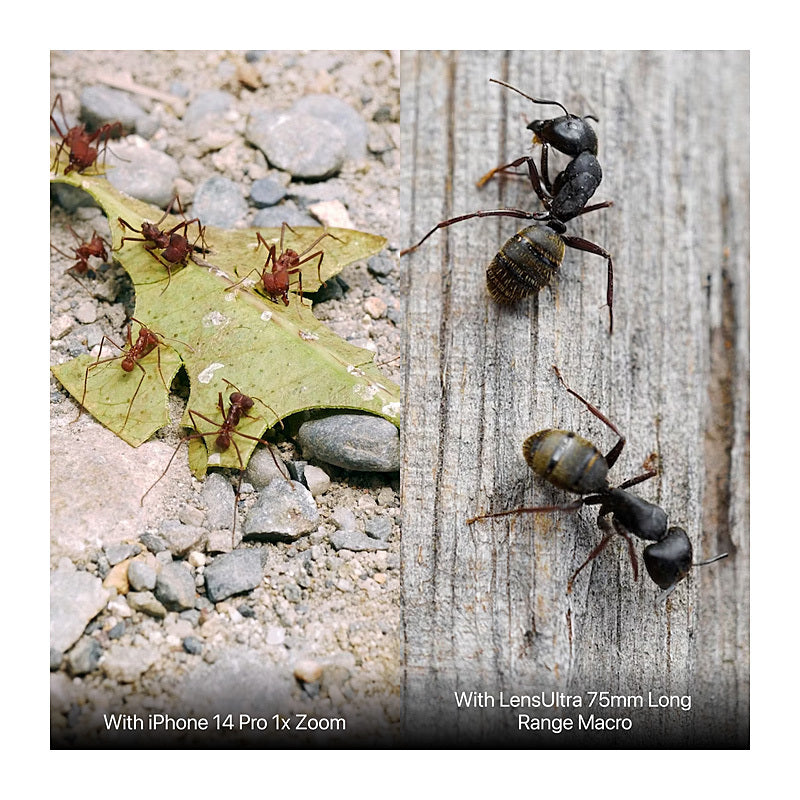 Shiftcam Lens 75mm Macro - Wholesales Supply