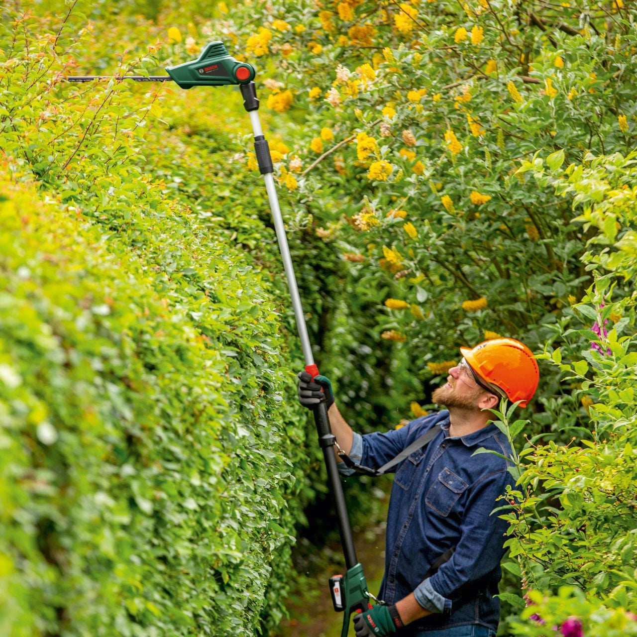 Bosch - Cordless Telescopic Hedgecutter + Battery/Fast Charger