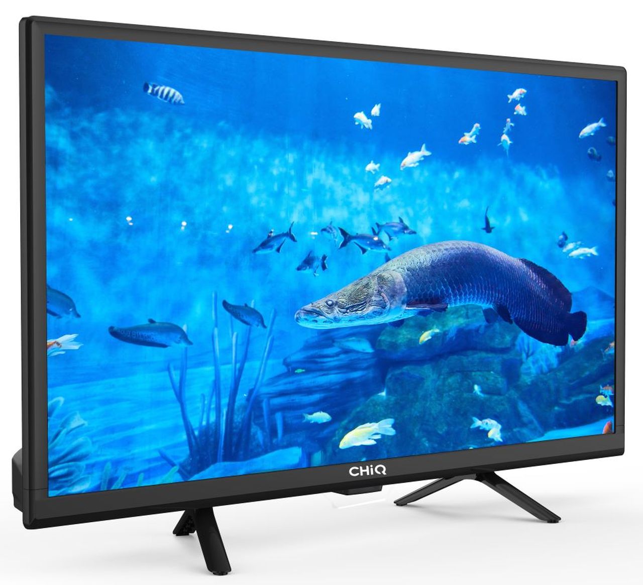 CHiQ - 24" G5W LED HD DTV (2023)