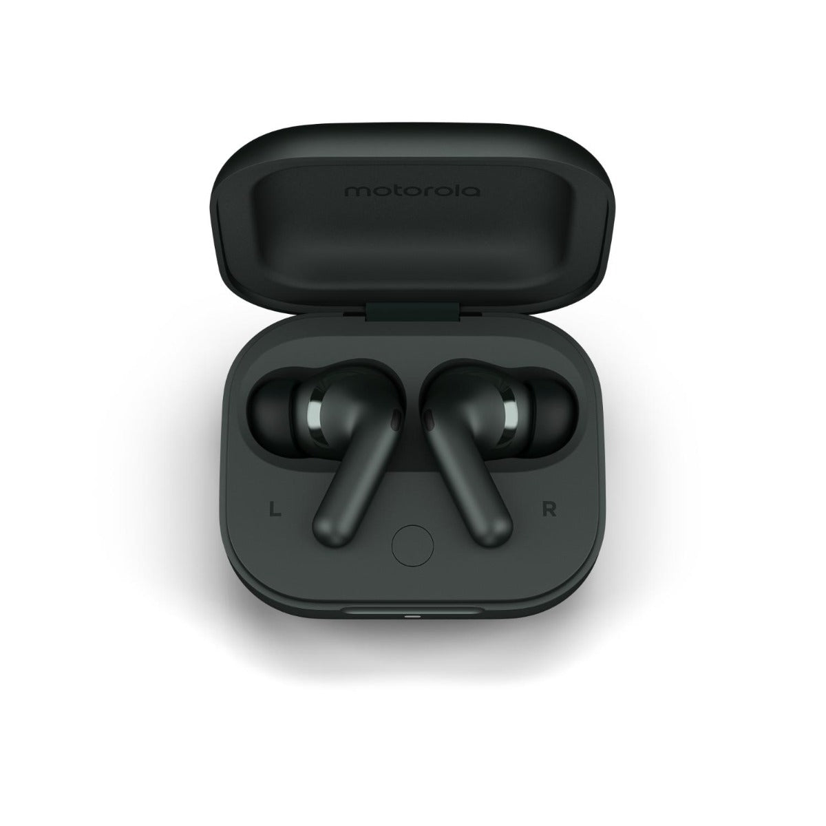 Motorola - Moto Buds Plus - Forest Grey