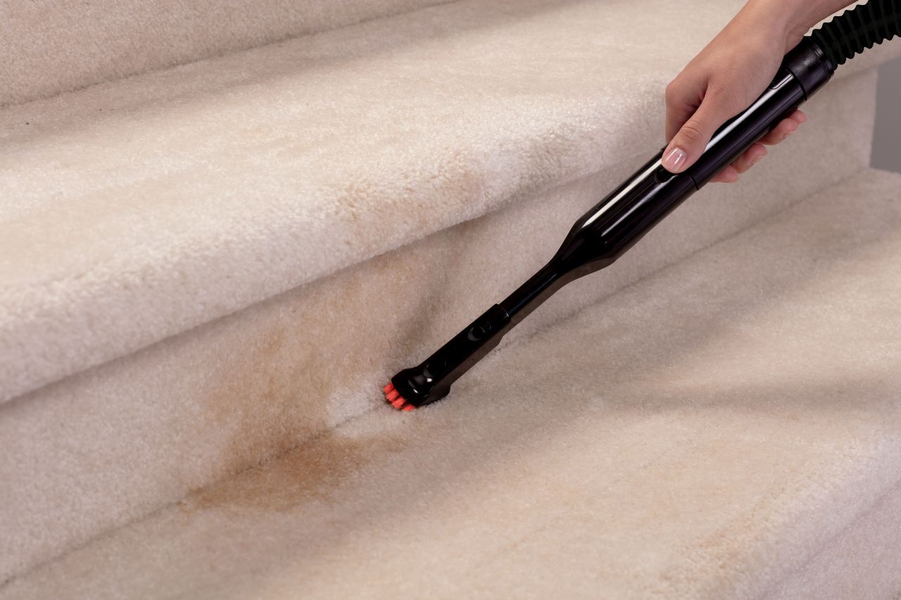 Bissell - Revolution Max Professional Carpet Cleaner