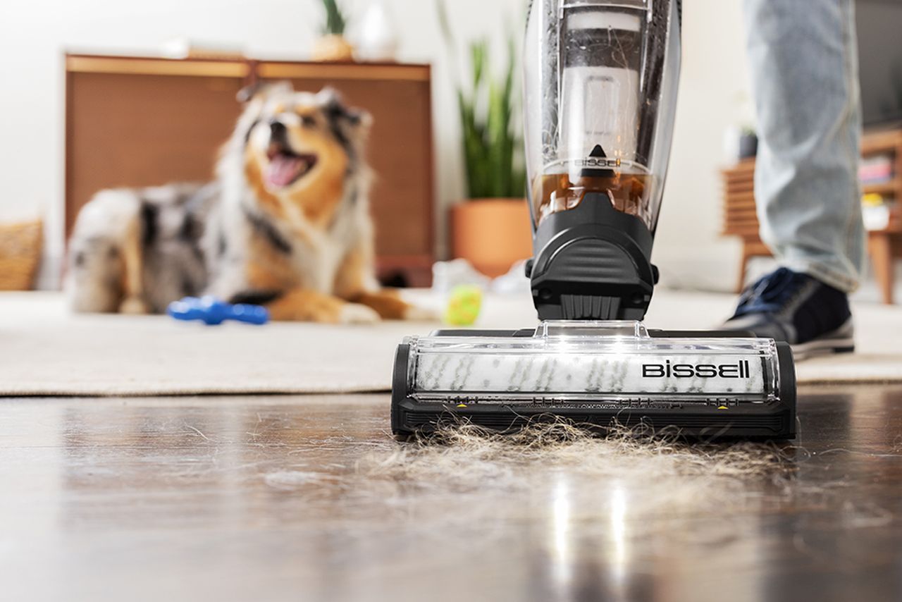 Bissell - CrossWave HydroSteam Professional Vacuum and Wash