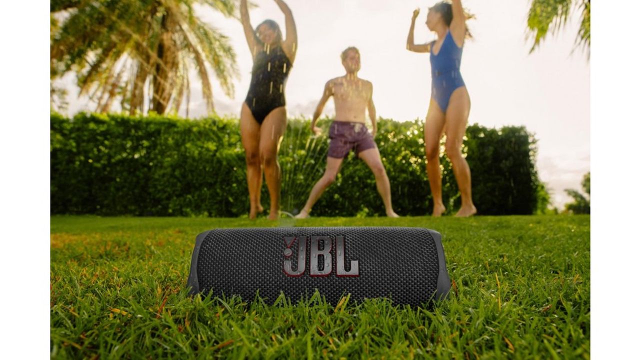 JBL FLIP6 Portable Speaker - Blue