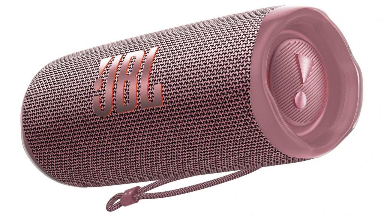 JBL FLIP6 Portable Speaker - Pink