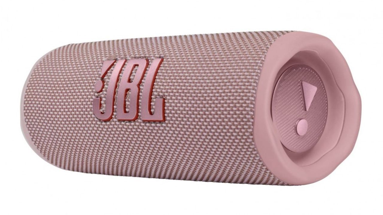 JBL FLIP6 Portable Speaker - Pink