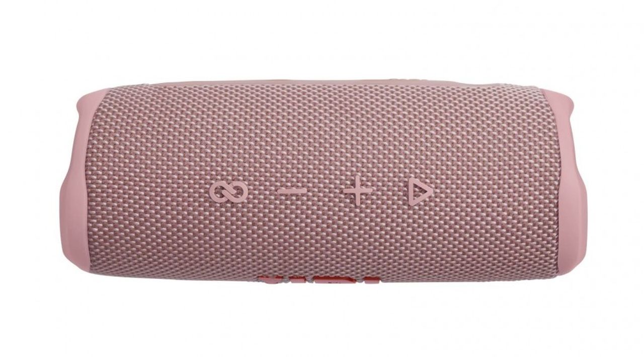 JBL FLIP6 Portable Speaker - Pink