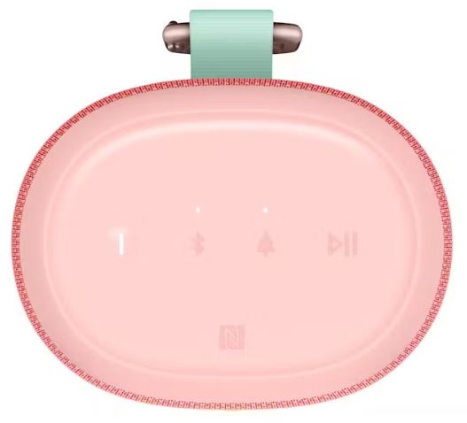 UE - Ultimate Ears EverBoom - Raspberry