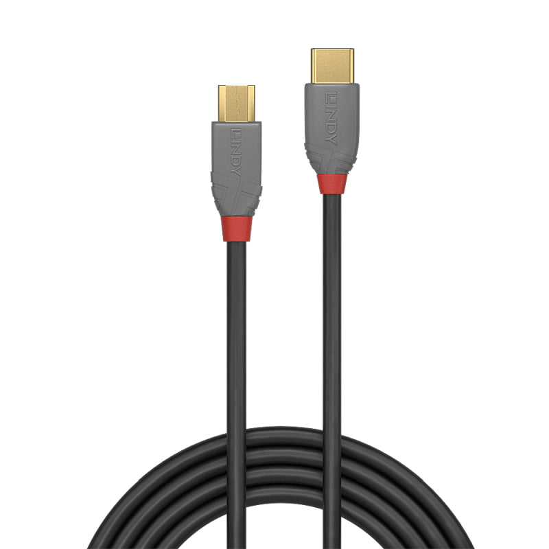 Lindy .5m USB2 C-Micro-B Cable - Wholesales Supply