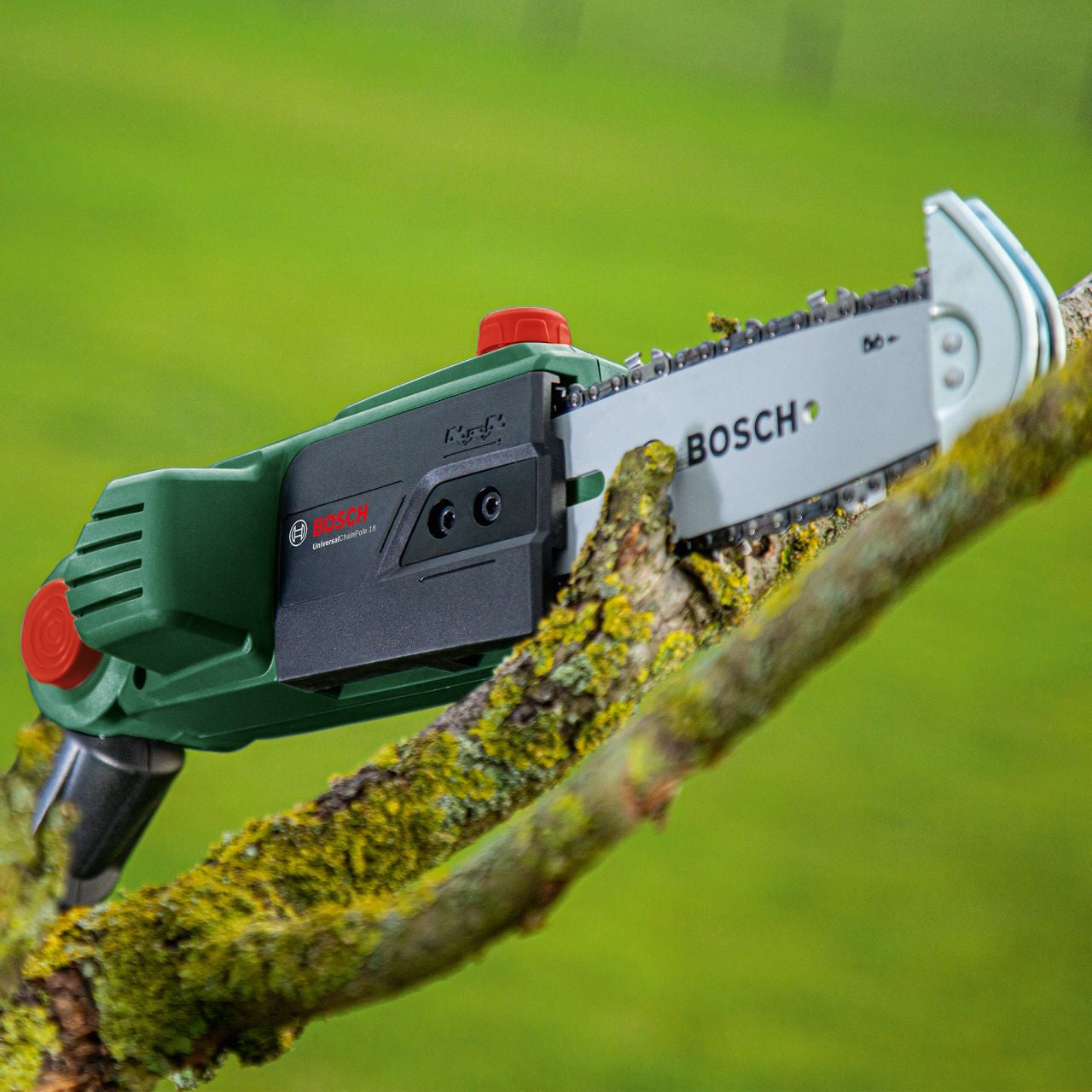 Bosch - Cordless Telescopic Chainsaw UniversalChainPole 18 (without battery) - Wholesales Supply