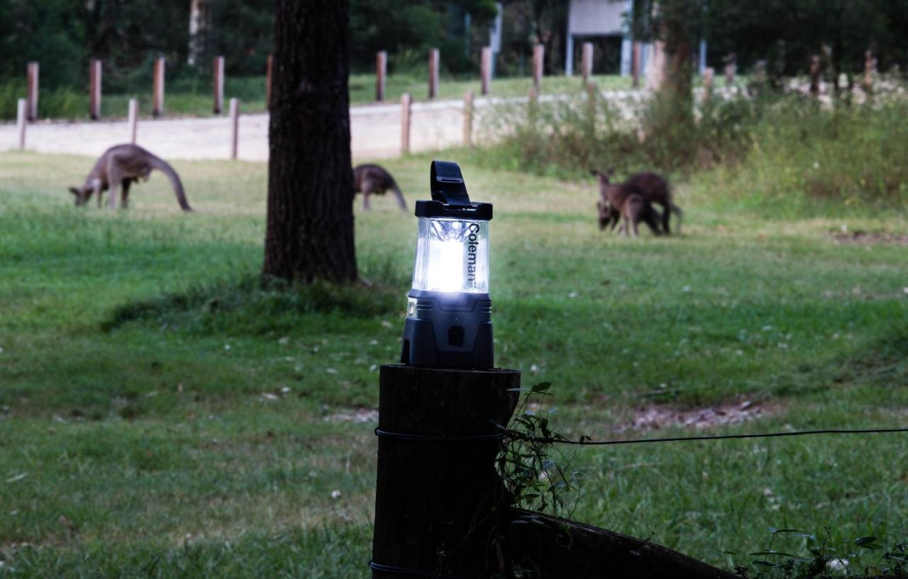 Coleman - Easy Hang Lithium Ion Lantern - Wholesales Supply
