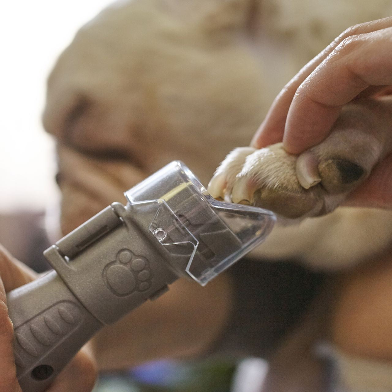 Dremel - 7020-PGK Cordless Pet Nail Grooming Kit - Wholesales Supply