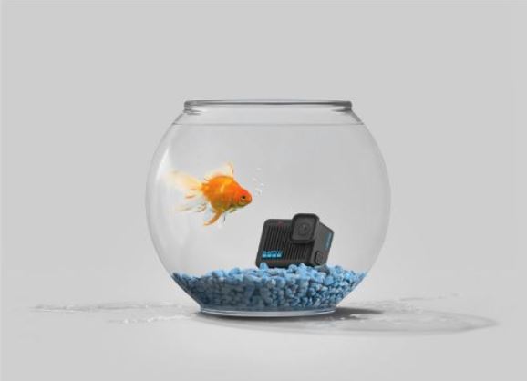 GoPro - HERO 2024 Action Video Camera - Wholesales Supply