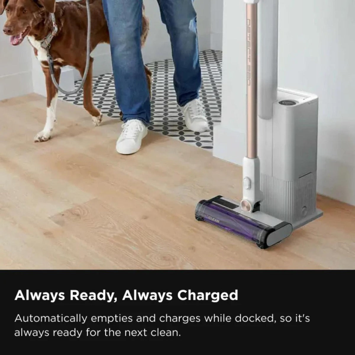 Shark - Cordless Detect Pro with Auto Empty System Vacuum - Wholesales Supply