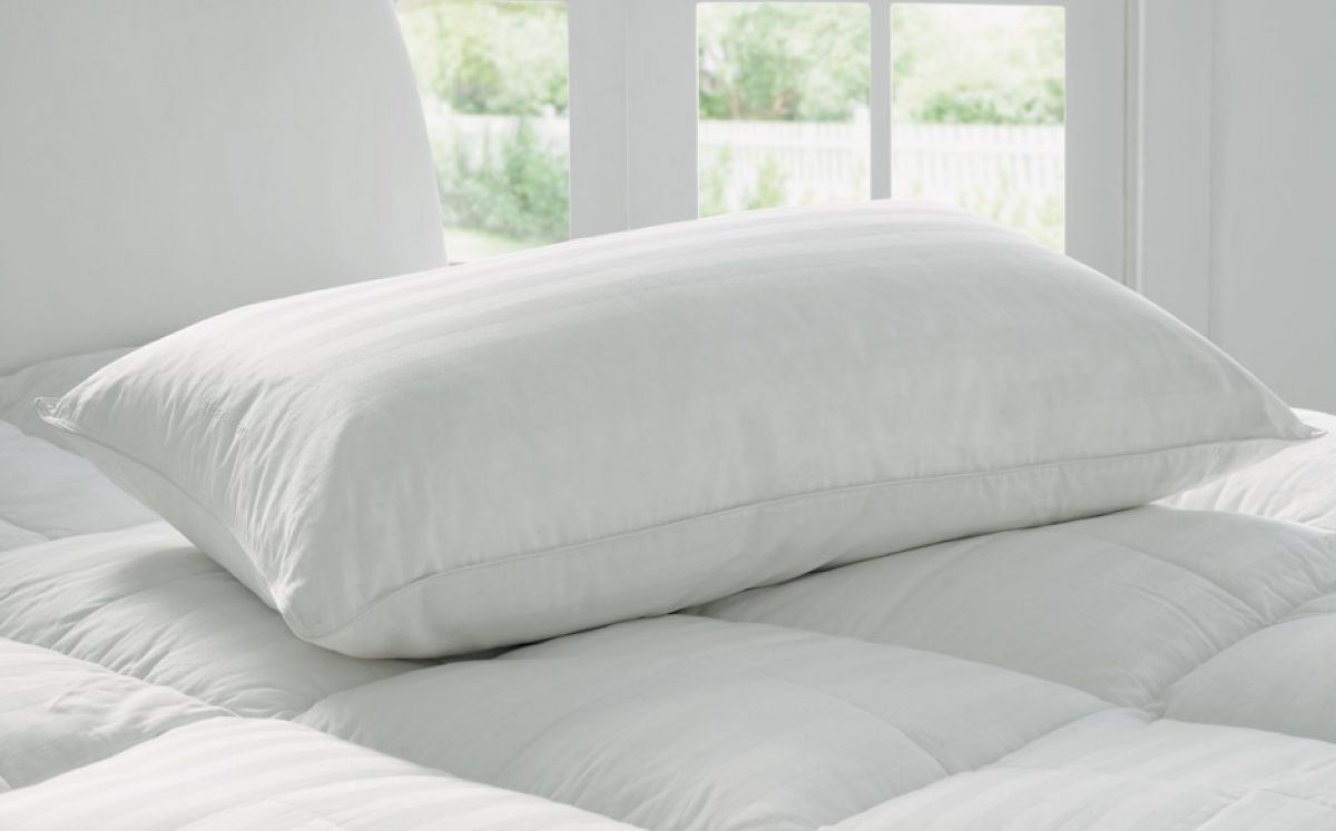 Sheridan - Deluxe Feather and Down Standard Pillow - Snow White - Wholesales Supply