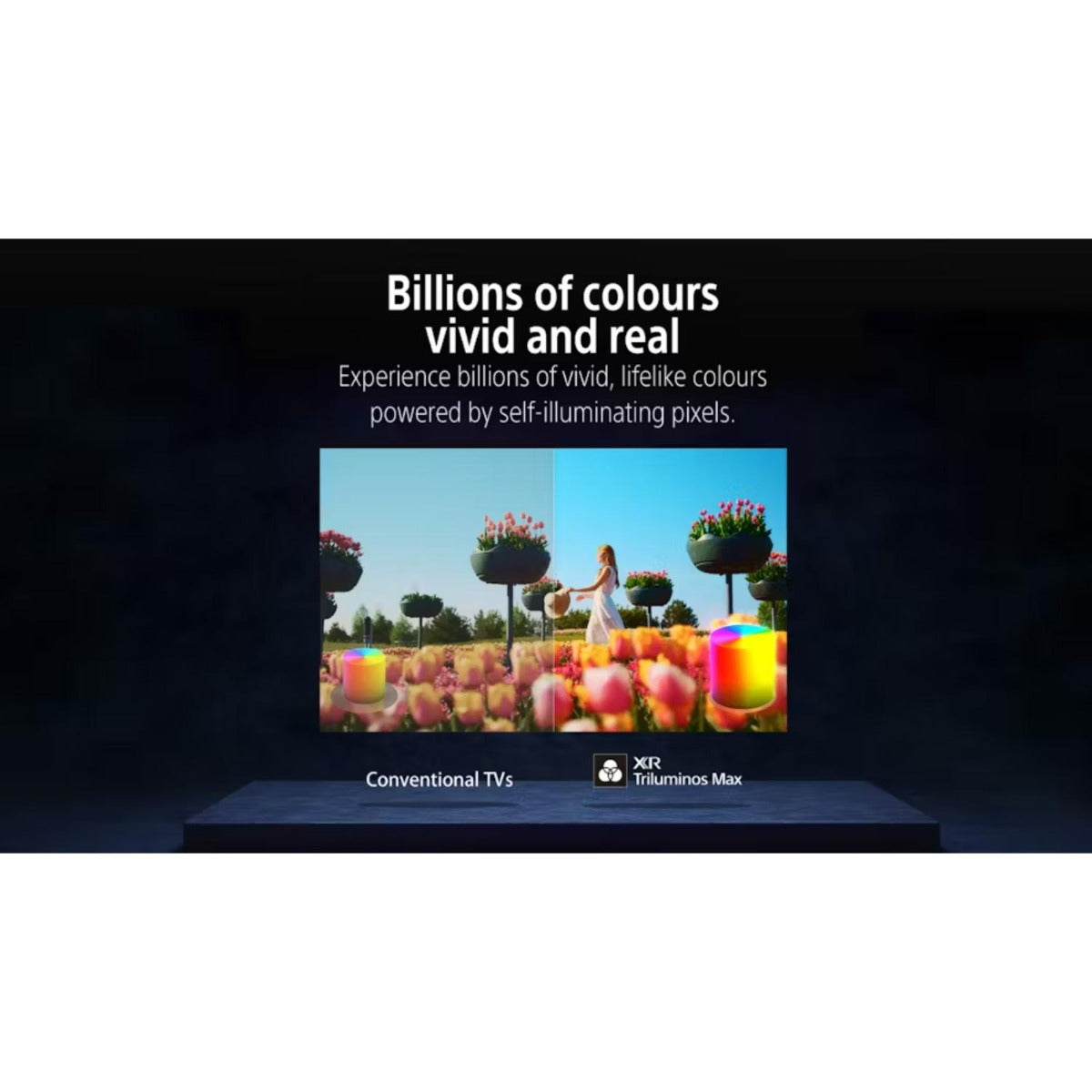 Sony - 55" Bravia 8M2 4K HDR OLED TV - Wholesales Supply