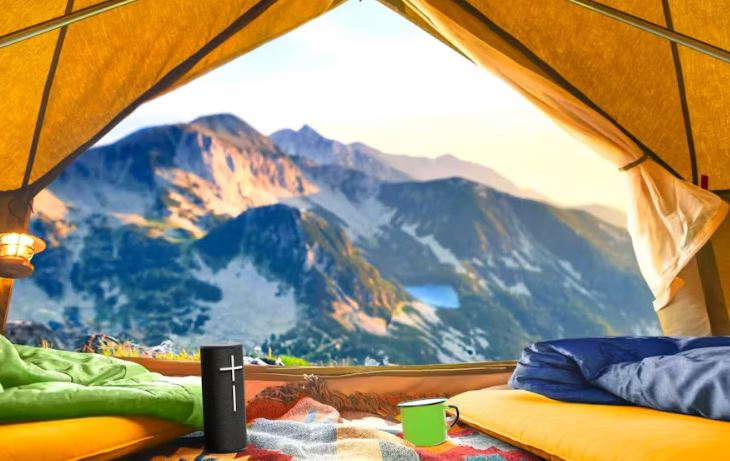 UE - Ultimate Ears Boom 4 - Black - Wholesales Supply