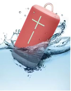 UE - Ultimate Ears EverBoom - Raspberry - Wholesales Supply