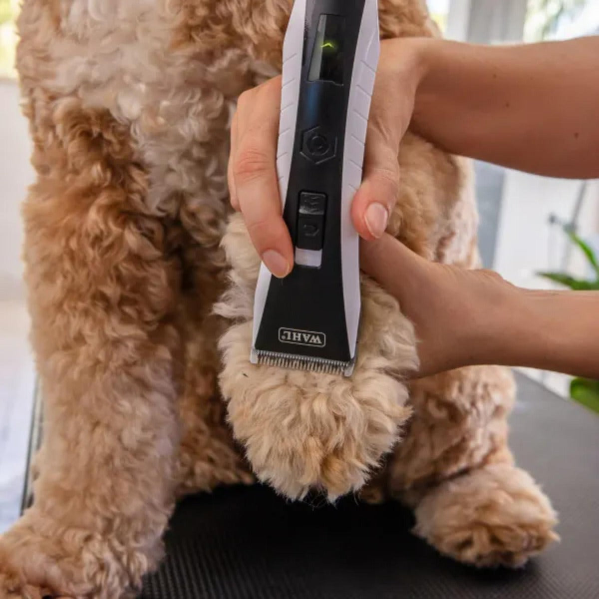 Wahl - Lithium Ion Dog Clipper - Wholesales Supply