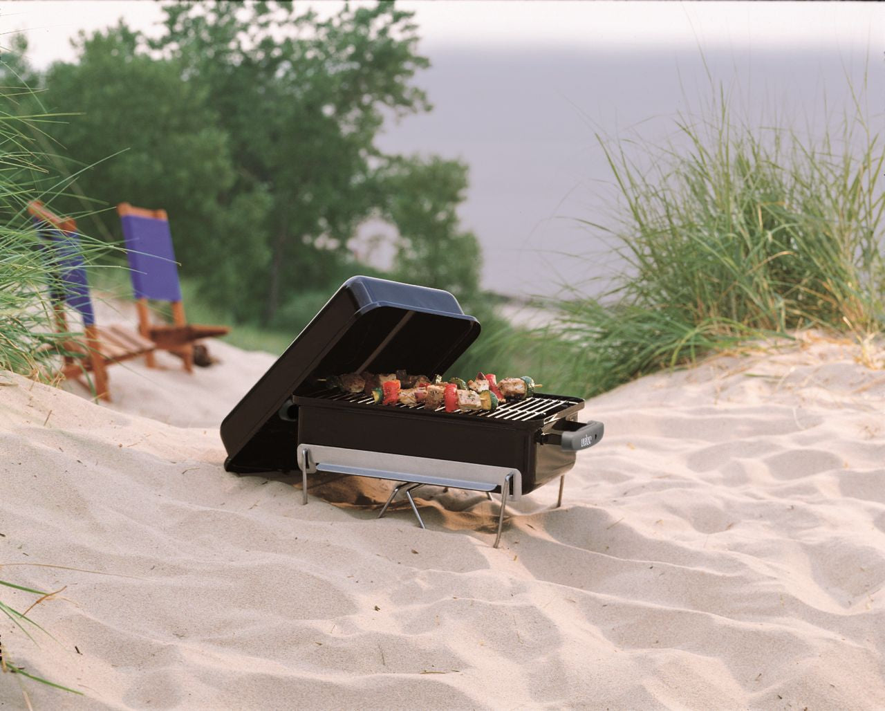 Weber - Go-Anywhere Portable Charcoal BBQ - Black - Wholesales Supply