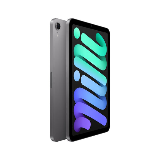 Apple - iPad mini (A17 Pro) Wi-Fi 256GB - Space Grey