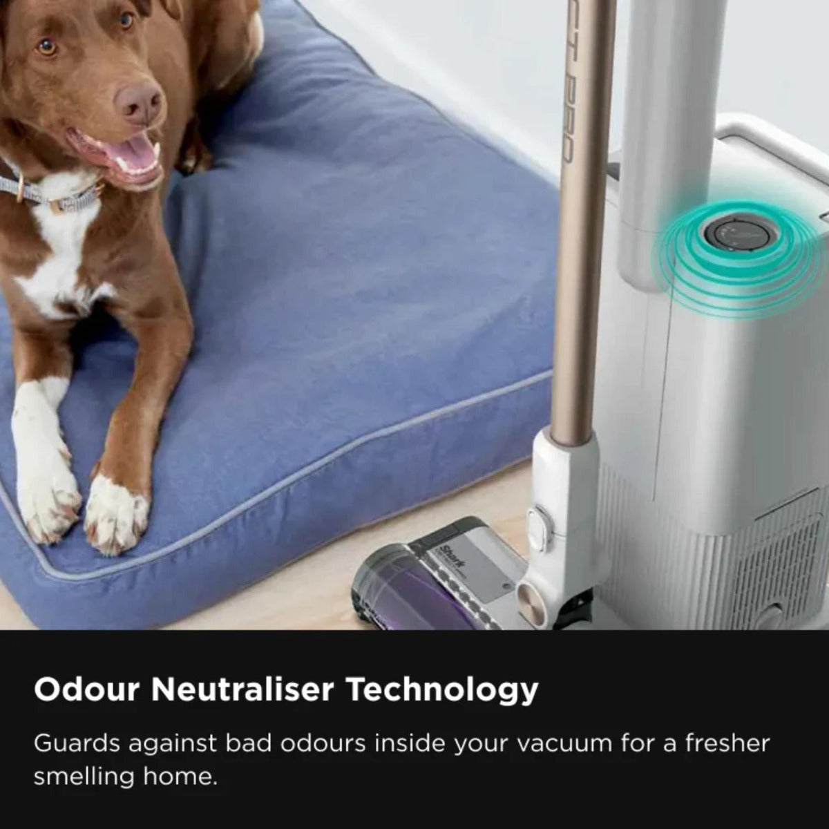 Shark - Cordless Detect Pro with Auto Empty System Vacuum