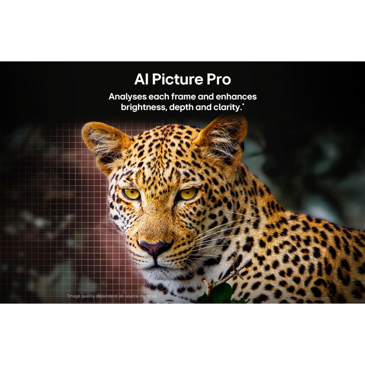 LG - 83" OLED EVO C5 AI UHD 4K Smart TV (2025)