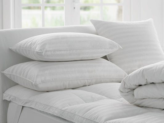 Sheridan - Deluxe Feather and Down Standard Pillow - Snow White