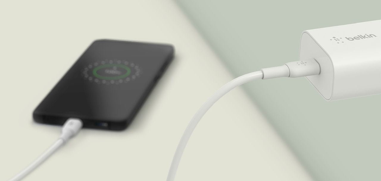 Belkin BOOST���CHARGE��� PPS Wall Charger + USB-C�� to USB-C Cable 25W