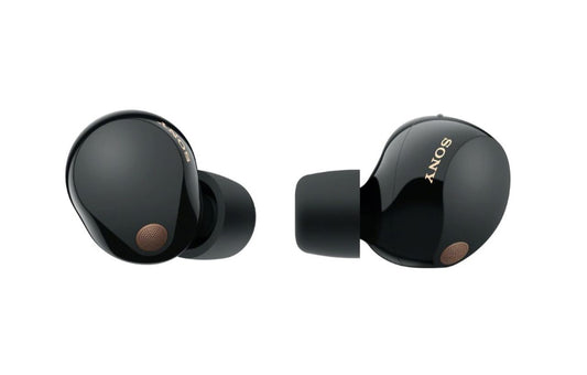 Sony Truly Wireless Earbuds with Noise Cancelling - Black