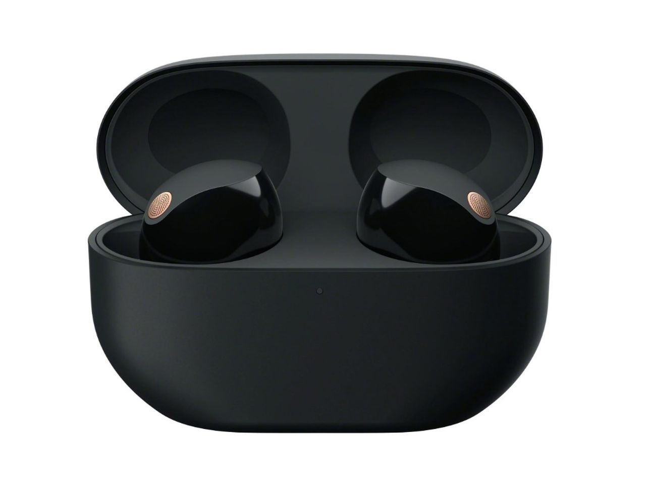 Sony Truly Wireless Earbuds with Noise Cancelling - Black