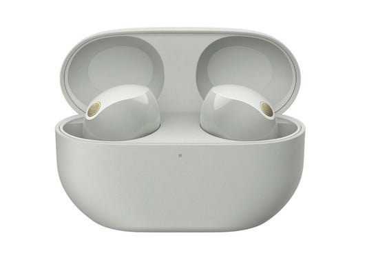 Sony Truly Wireless Earbuds with Noise Cancelling - Platinum Silver