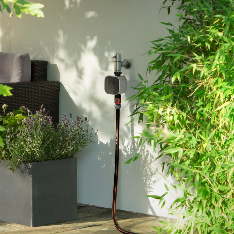 Eve Aqua with Thread - Wholesales Supply