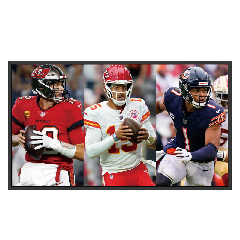 Mitsumaru Outdoor TV IP65 75'' - Wholesales Supply